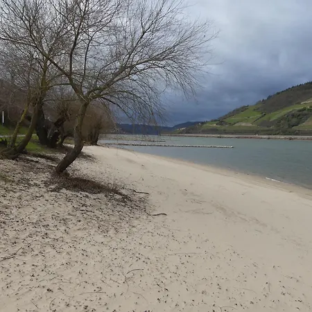 Apartment Christrose *