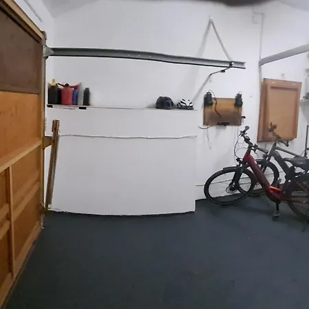 Christrose * Trechtingshausen