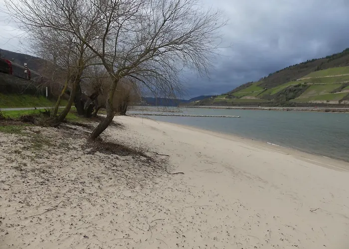 Apartment Christrose *