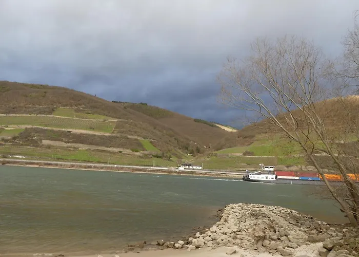 Christrose Apartment Trechtingshausen