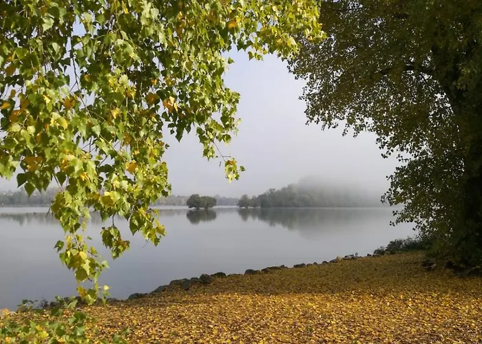 Christrose * Trechtingshausen